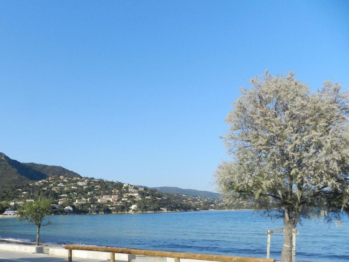 Appartement Les Pieds Dans L'Eau ! Le Lavandou Exterior photo